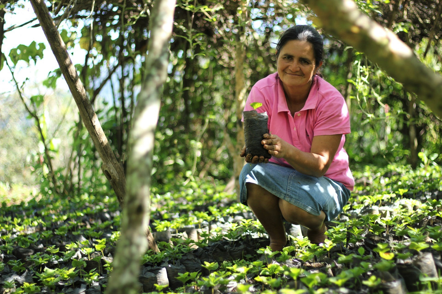 Honduras Organic Comsa Manos De Mujer