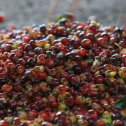 Colombia Inza Rio Paez