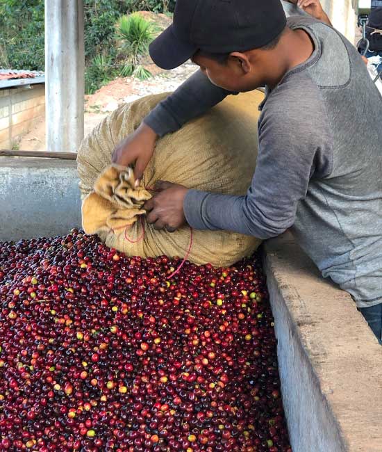 Guatemala Huehuetenango